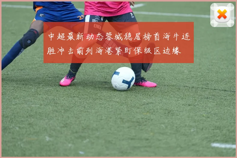 中超最新动态蓉城稳居榜首海牛连胜冲击前列海港紧盯保级区边缘