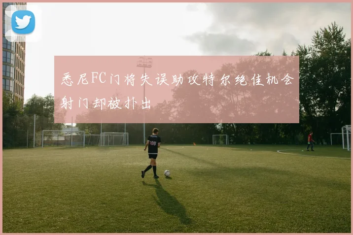 悉尼FC门将失误助攻特尔绝佳机会射门却被扑出